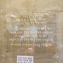 이지요 드 누보 이미지