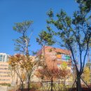 양재대로(남부순환로) 이미지