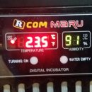 백봉농장 이미지