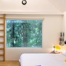 중문동-14 이미지