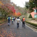 내장산 단풍축제산행. 서래봉-불출봉 이미지