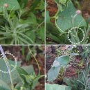 수레세탁소 이미지