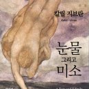 미소전자 이미지