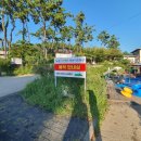 노을에 기댄 언덕 이미지