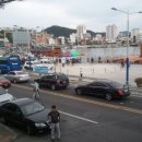 대교충무김밥 이미지