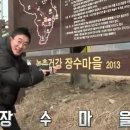 풍기장수인삼마을 이미지
