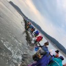 삽시도어촌계 네이버블로그