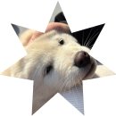 대원사 | 서울 근교 가평 대원사 템플스테이 체험형 솔직 후기!