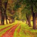 석전한의원 이미지