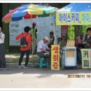 메기대감 이미지