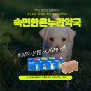 속편한 온누리약국 이미지