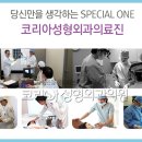 잘하는성형외과 Daum카페