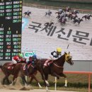 국제신문 이미지