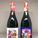 누보코리아 이미지