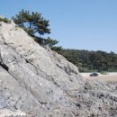 청포대 별주부 이미지