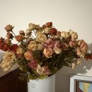 청수리빌레왓 이미지