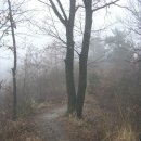 장충농장 이미지