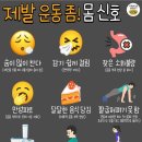 신나는점핑다이어트클럽 - 안성시 공도로 151 | 신나는점핑다이어트클럽