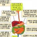 비타민B12 과다섭취 이미지