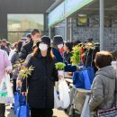 작은나무숲 이미지