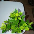 반동주유소 이미지