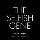 석관동 미리내도서관 앞 이미지