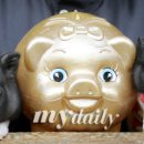 돼지삼형제 이미지