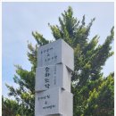 금채농장 네이버블로그