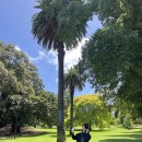 피츠로이가든 이미지