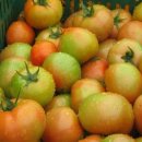 원리영농조합 이미지