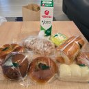 포르피노 이미지