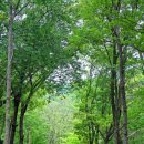 부산치유의숲 방문자센터 이미지