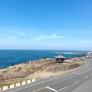 와이모텔 | 제주도 여행 항공권 특가 12월 1월 꿀팁!