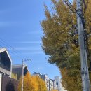 팔도강산 | 연남동 8nrm 팔도강산 버거 후기 수제버거 맛집