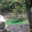 설악바다 통나무 펜션 이미지