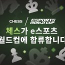 뉴체스
