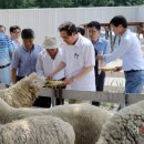 지사목장 이미지