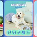 가정BYC