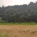 퇴촌부동산공인중개사사무소 이미지