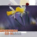 반야심경 - 영인스님 이미지