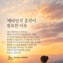 메타인지