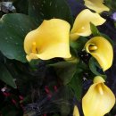 국민은행(동천동지점) 이미지