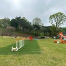 멍멍드림 이미지