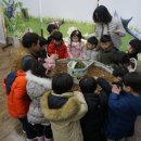 월곶동주민센터 이미지