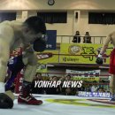 성남권투 이미지