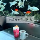 고양수족관 | 아쿠아가든 일산점 고양 아쿠아리움 수족관 카페 내돈내산 주말 방문 후기