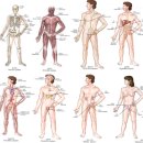김경훈박사의뉴로트레이닝센터서울본부
