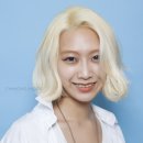 차홍아르더청담점 이미지