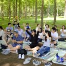 이룸디자인스킨