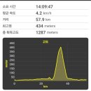 금강약국 | 2026 제7회 오륙도투나잇 걷기축제 스텝참가후기